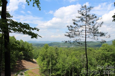 LAND - Hendersonville, NC