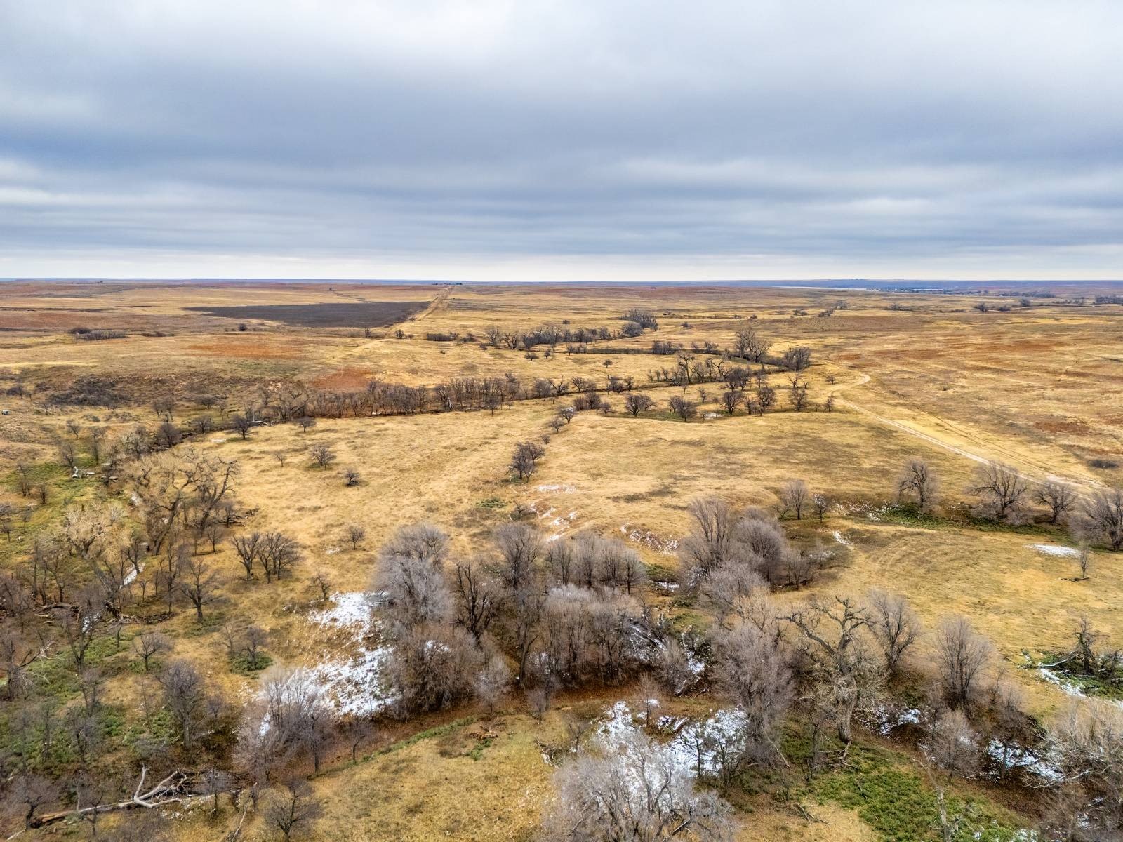 Expansive Texas Panhandle Ranch Land