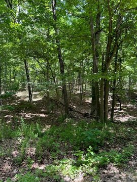 Land - St Robert, MO