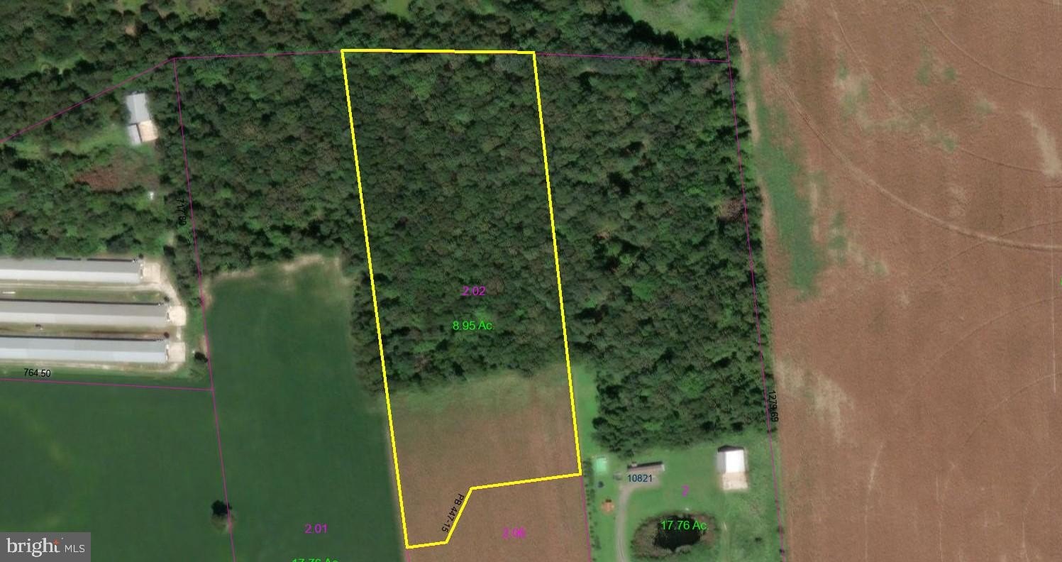 Land in Bridgeville, Delaware