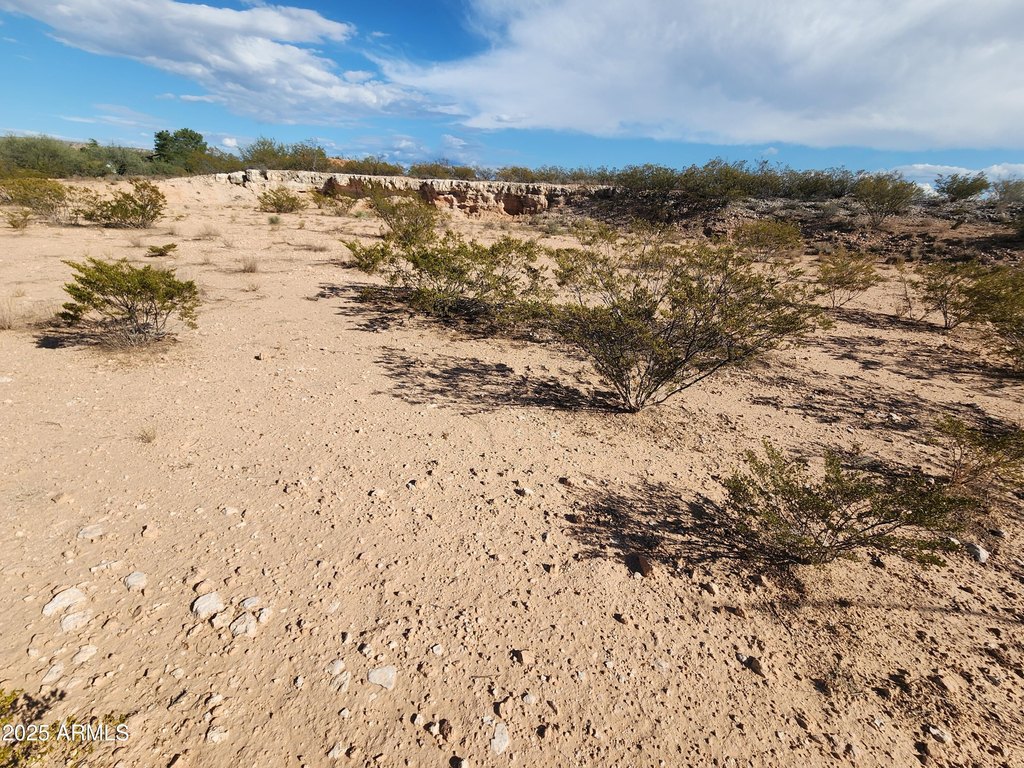 Picture 11