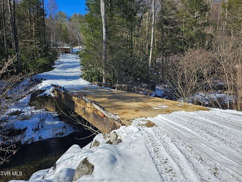 5 Acres of Tennessee Paradise