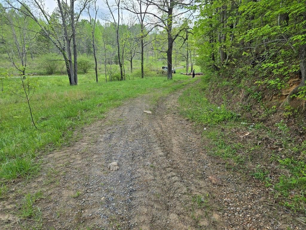 Picture 21