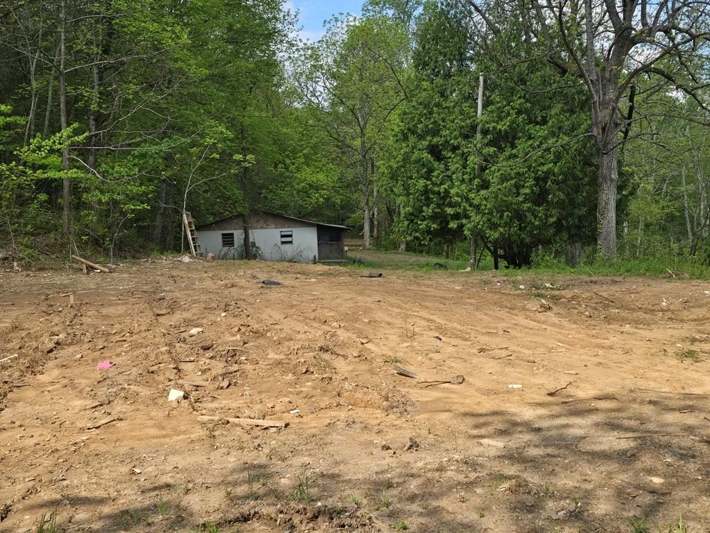 Picture 25