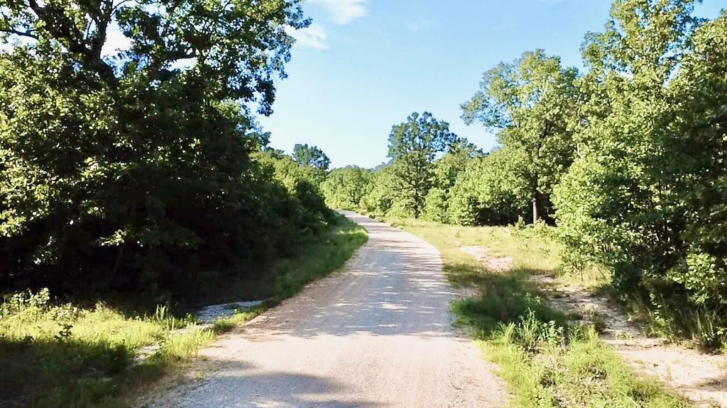 Picture 28
