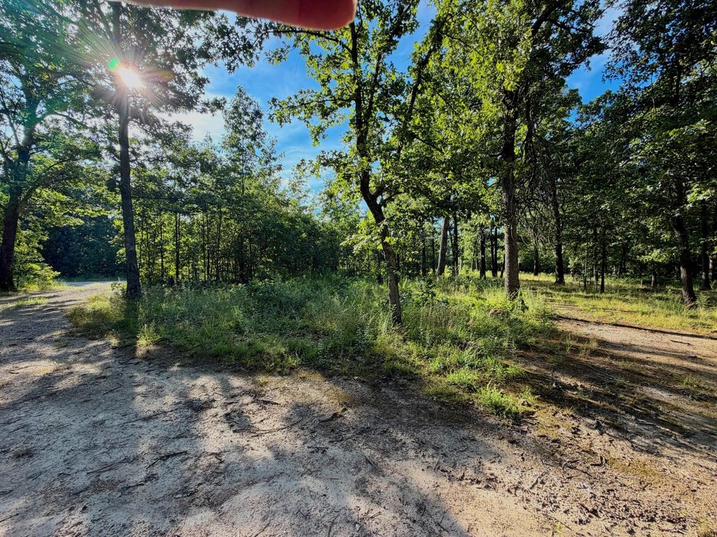 Picture 25