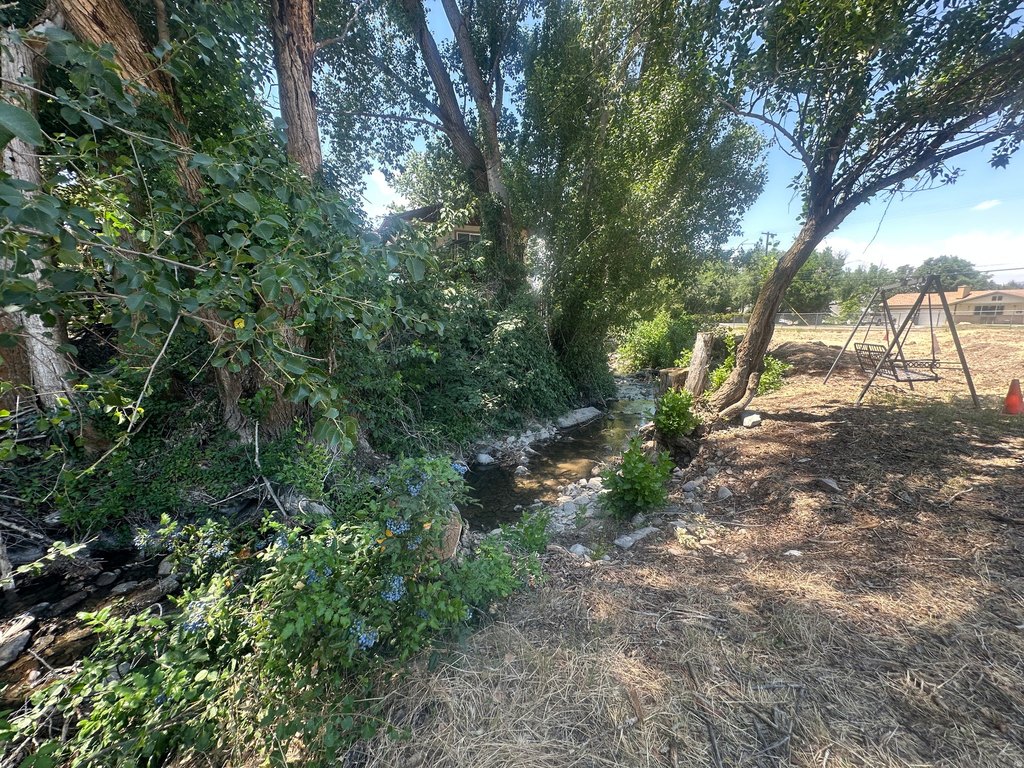 Picture 10