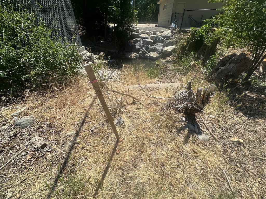 Picture 9