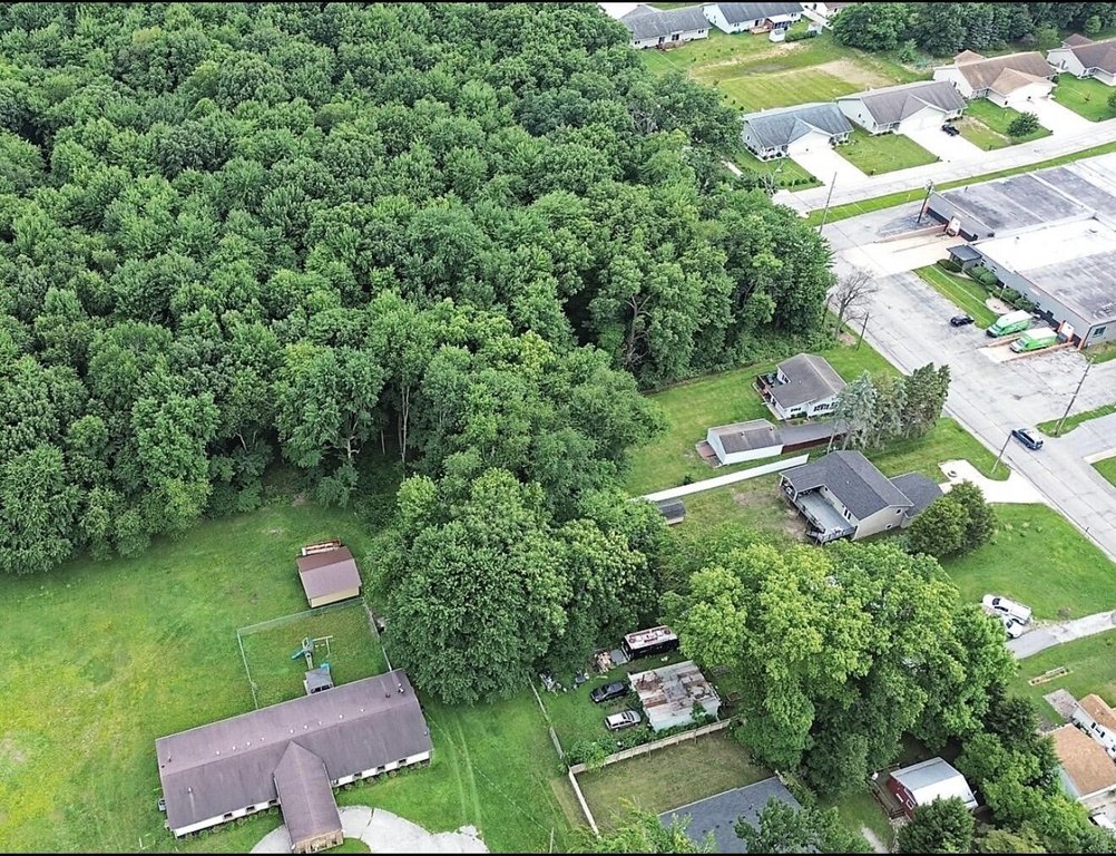 Picture 3