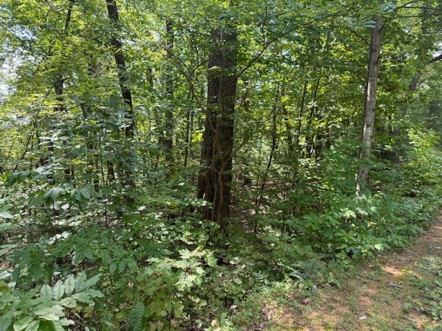 Picture 5