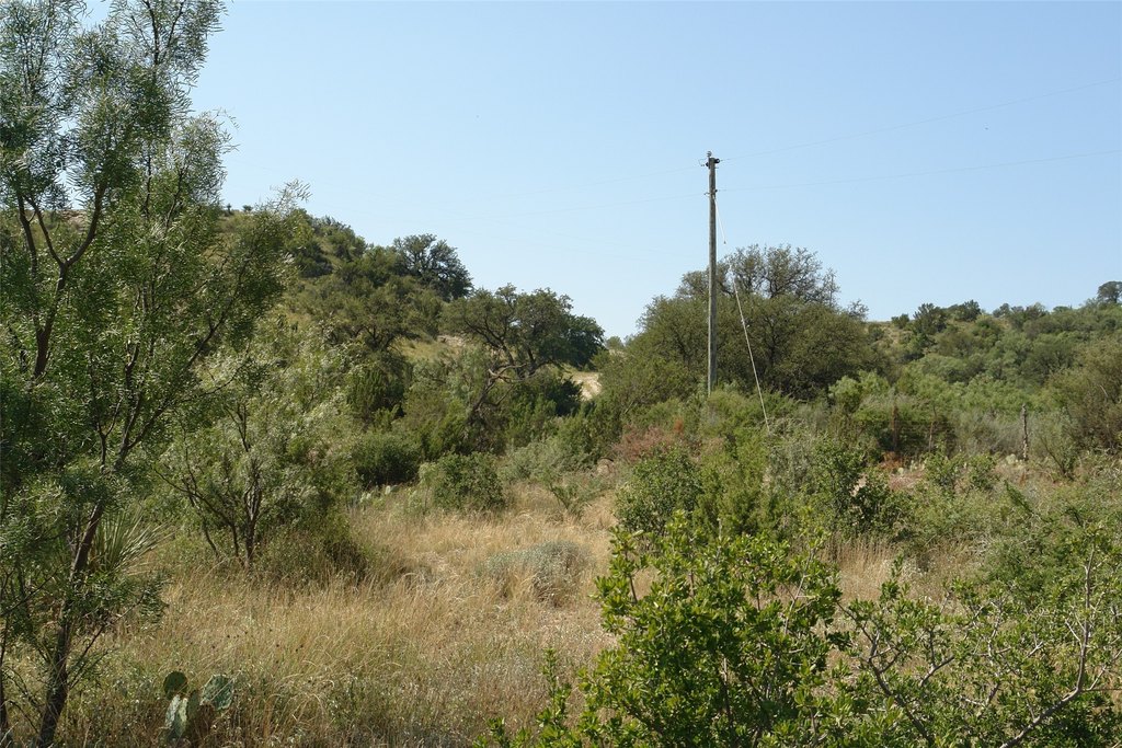 Picture 21