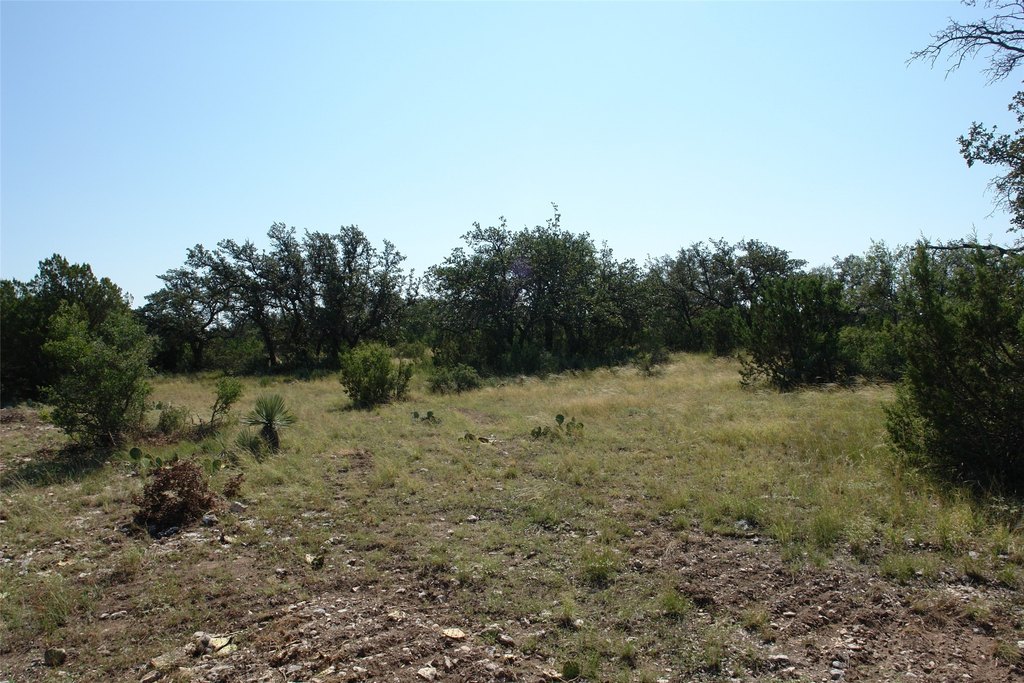 Picture 24