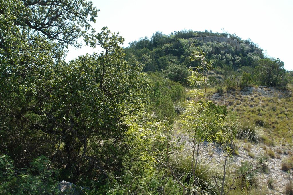 Picture 15