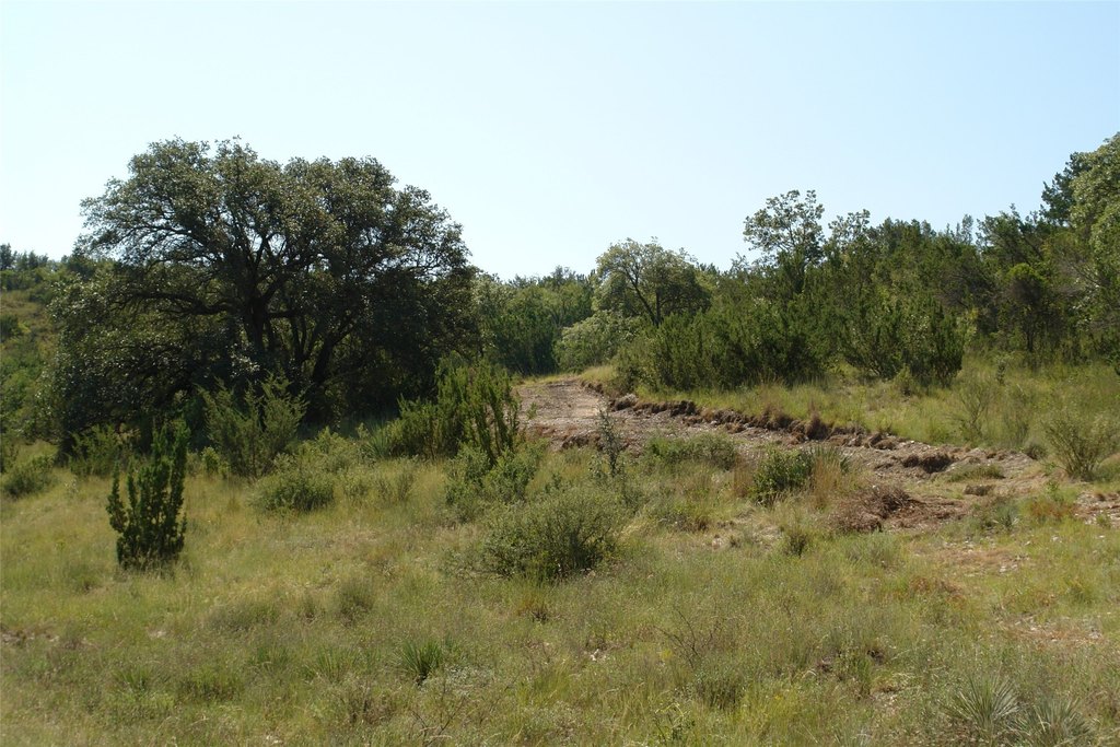 Picture 22