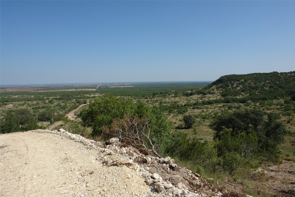 Picture 6