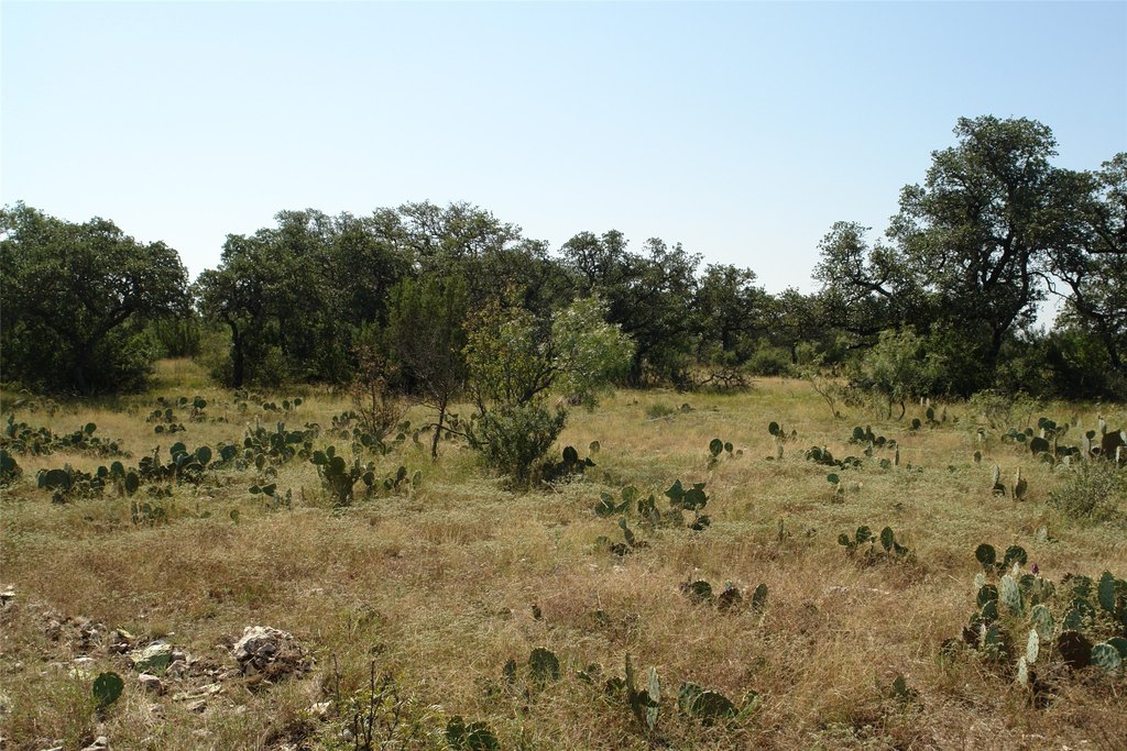 Picture 23