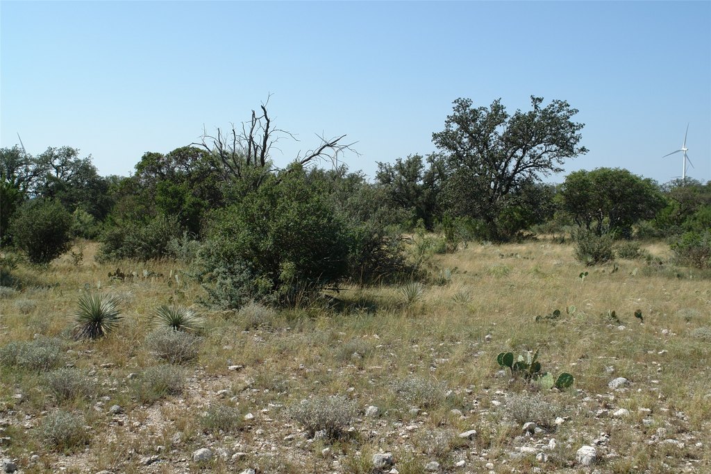 Picture 26