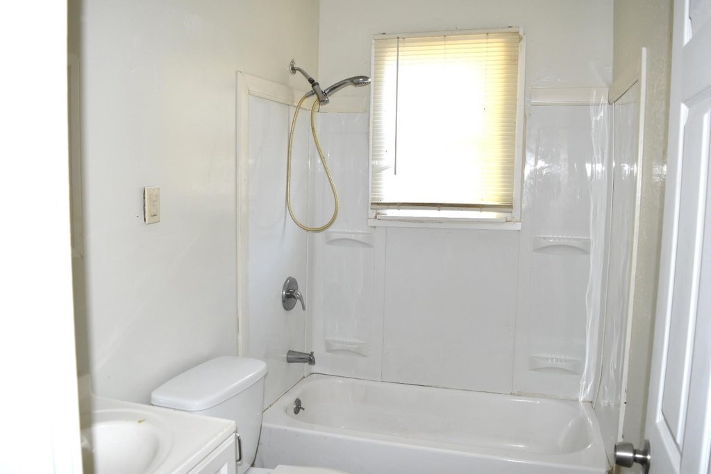 Picture 12