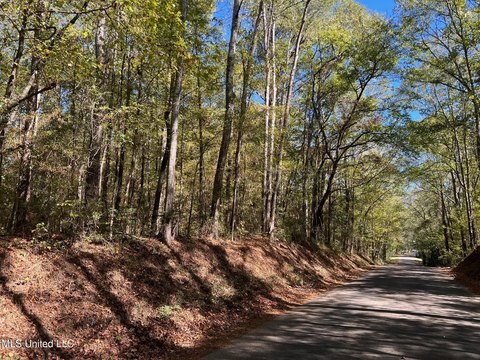 51.52 Acres Near McComb, MS