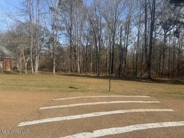 Wooded Lot Backing to Creek