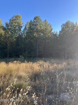 Land, Laurinburg, NC