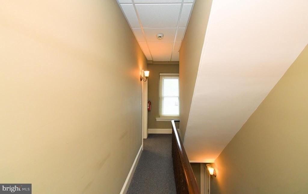 Picture 33