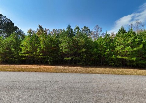 Vacant Lot - Blairsville, GA