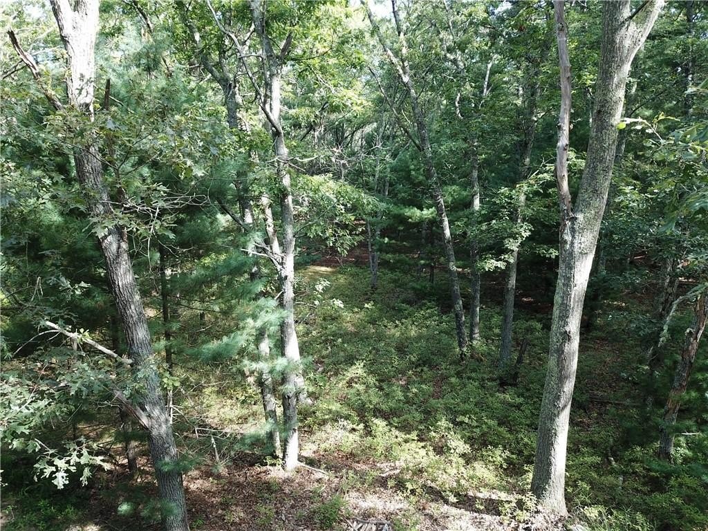 Picture 7