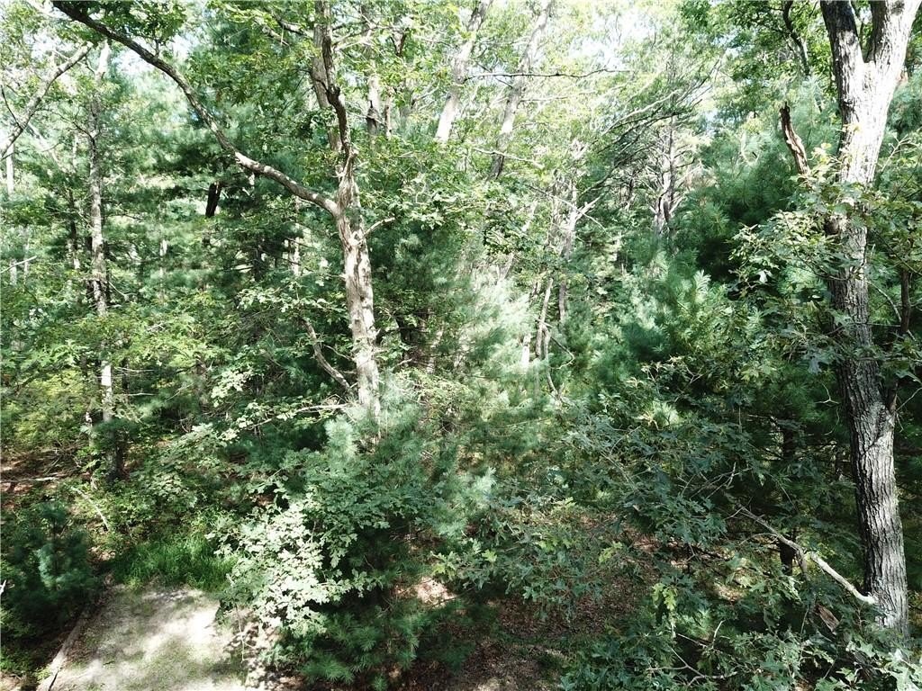 Picture 8