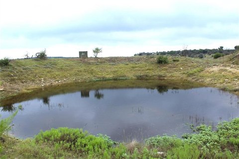 53 Acres of Texas Hunting Land