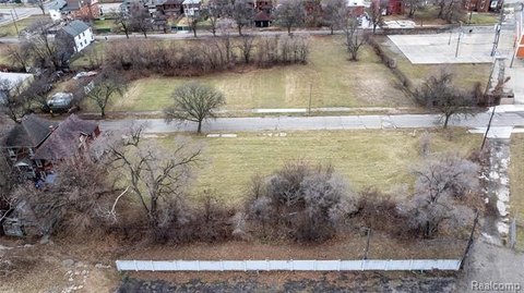 Residential Lots in Detroit
