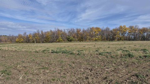 LAND, Minot, ND