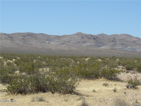 Agricultural Land Parcel