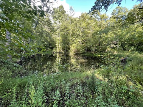 Unrestricted Land with Natural Beauty