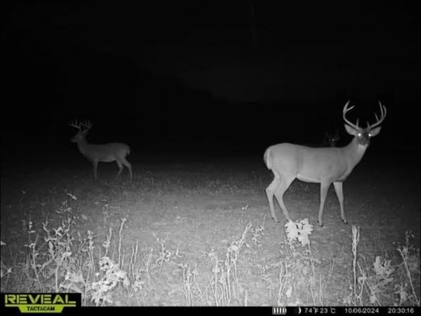 Picture 16
