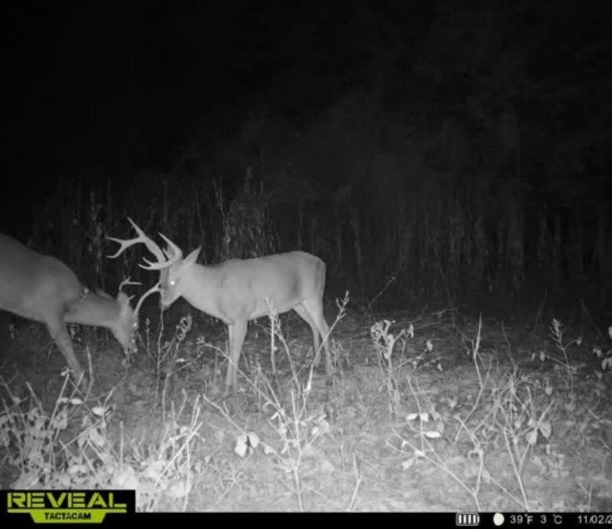 Picture 15