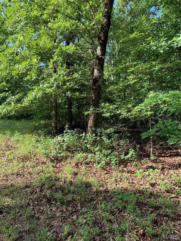 120 Acres Bordering National Forest