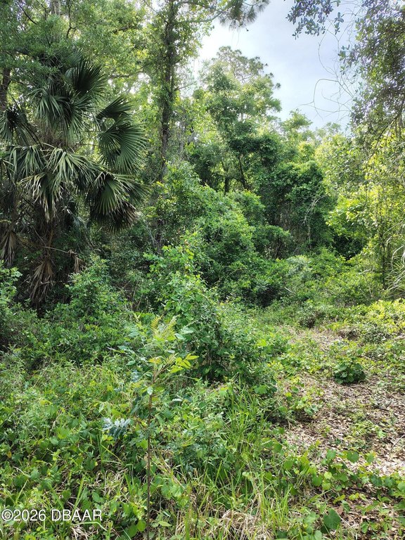 Picture 6