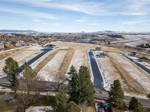Corner View Lot in Pullman