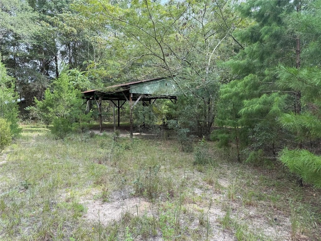 Picture 6