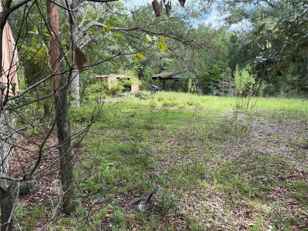 Picture 4