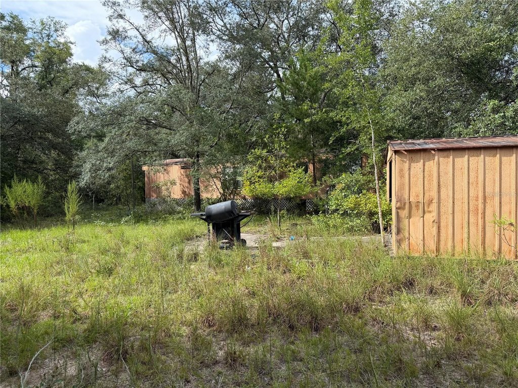 Picture 7