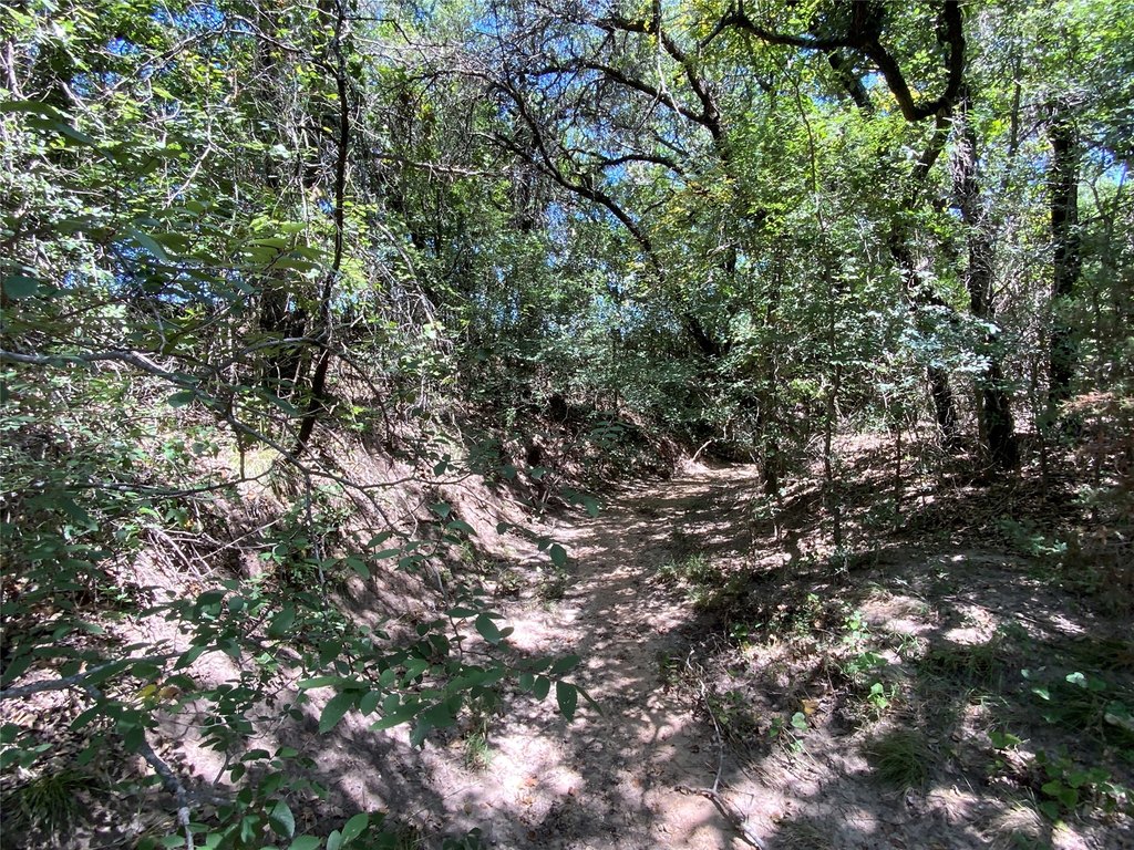 Picture 29