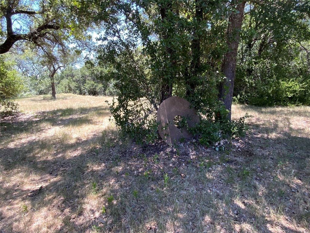 Picture 31
