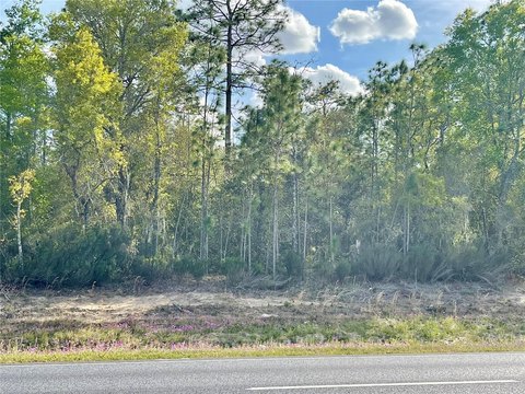 Land on Highway 27