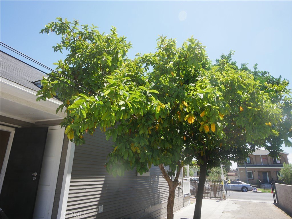 Picture 45