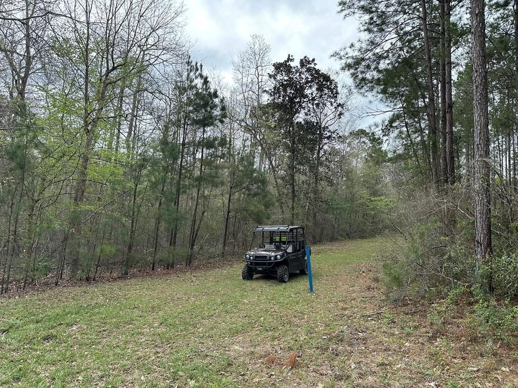 26.99 Acres on FM 1005