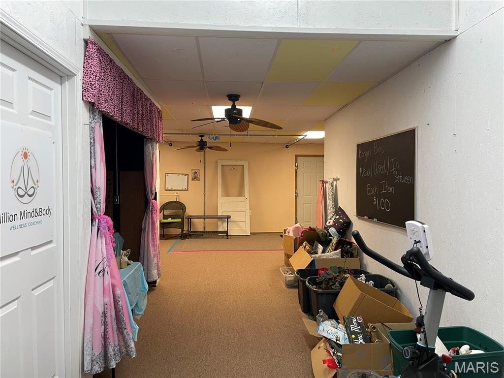 Picture 7