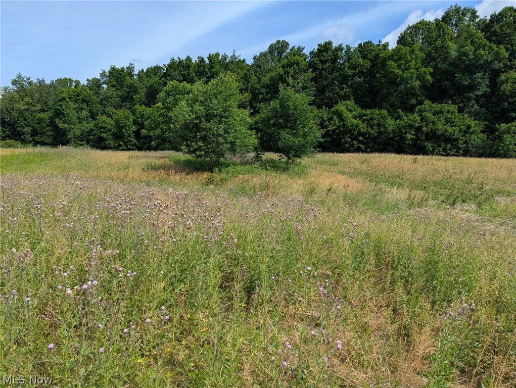 Picture 7