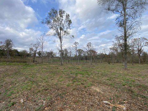 Ore City Acreage with Hardwoods